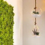 Regina Di - Private Garden, Free Undercover Parking 公寓 拉利奥